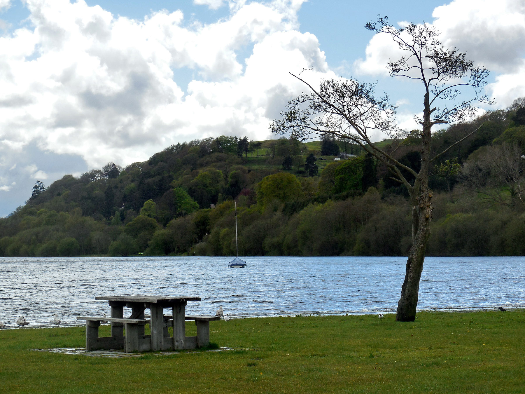 Bala